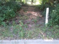 Landscaping Steps Before